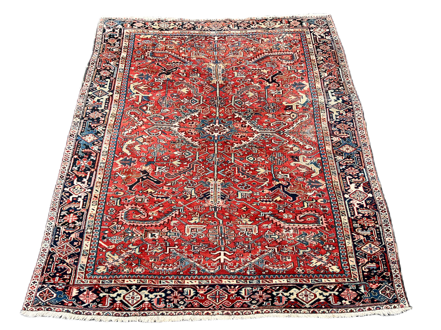 Scarlet Heritage Rug