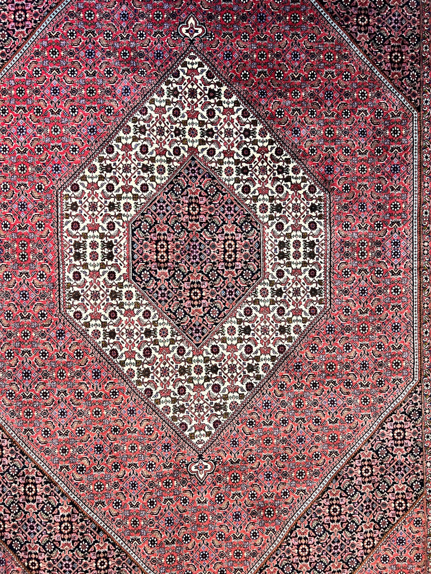 C106331 Iran Rug