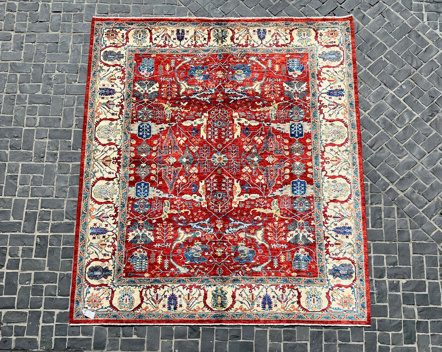 C92-389 Paki Rug