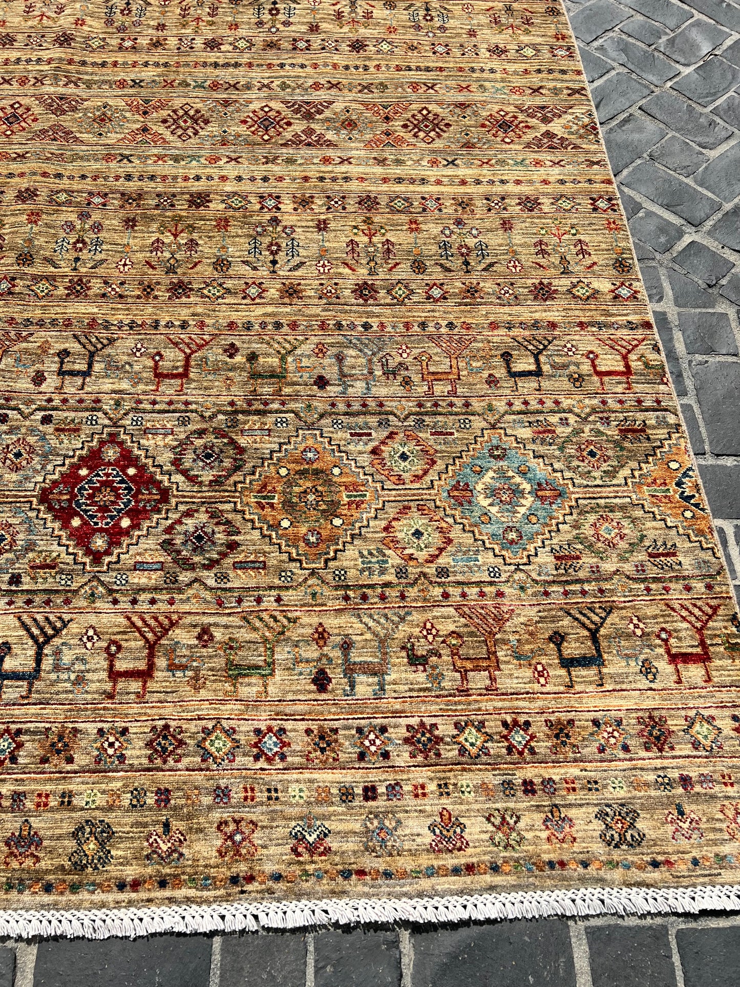 C54-251 Paki Rug