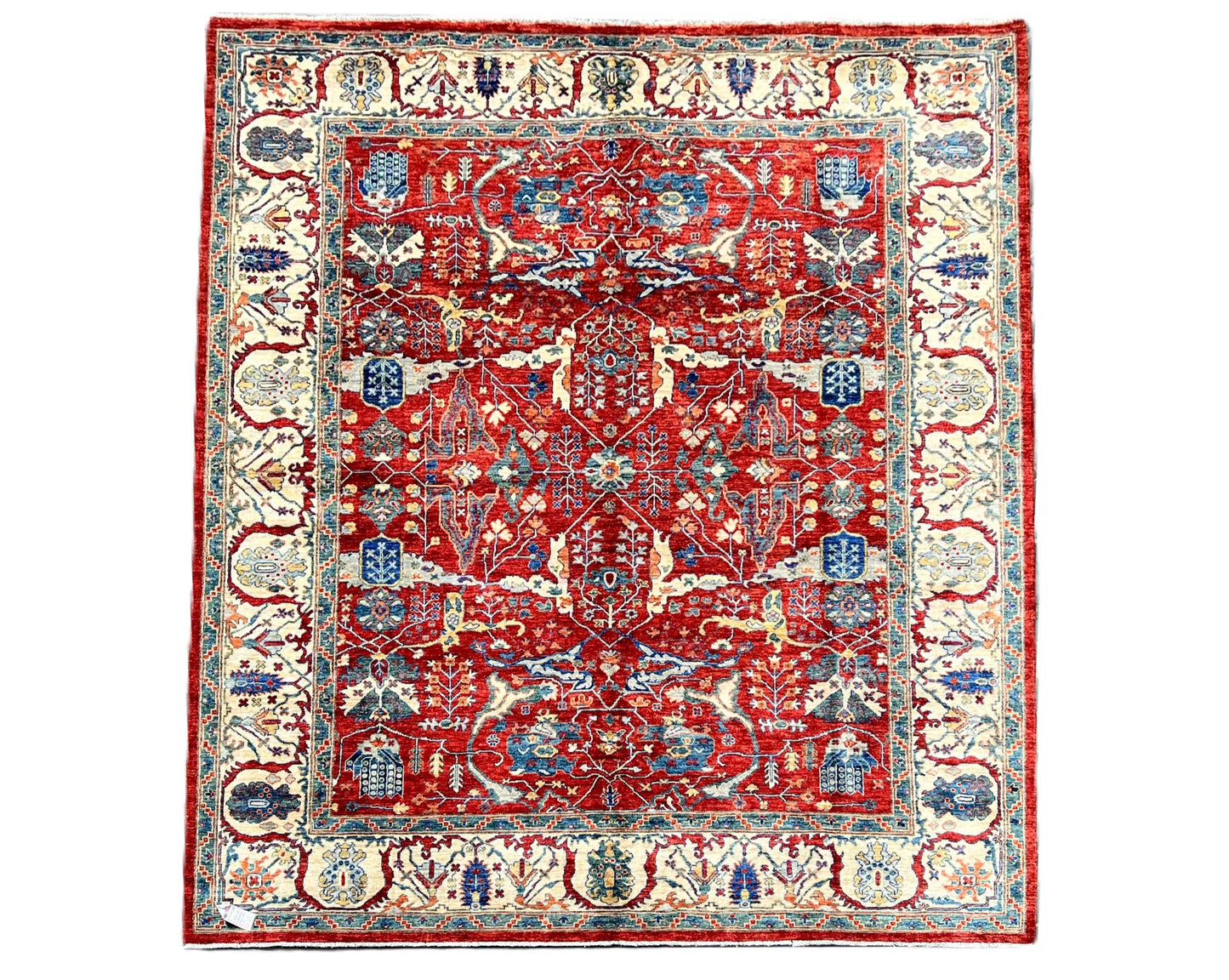 C92-389 Paki Rug