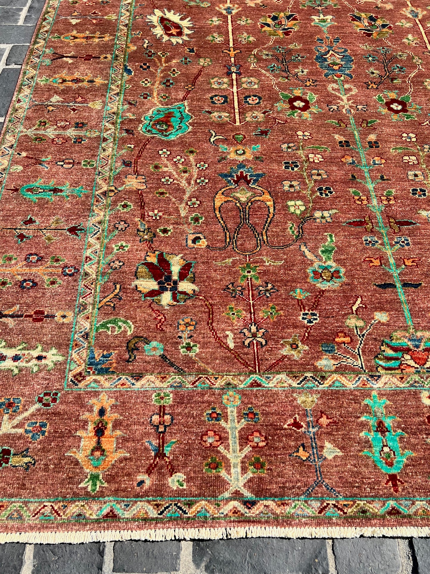 C66-320 Paki Rug