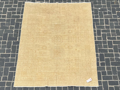 C101724-1 Pakistan Rug