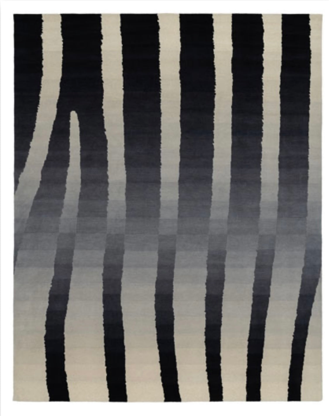 PXDEG000091 Zebra Rug